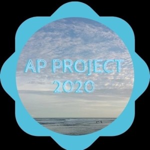 AP Project
